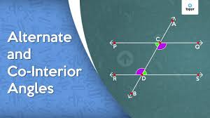 alternate and co interior angles in