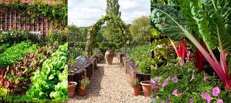 Vegetable Garden Ideas Designs And