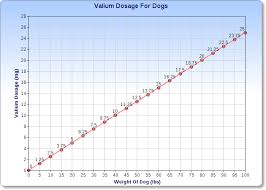 Valium For Dogs Veterinary Place