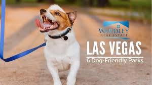 6 dog friendly parks around las vegas