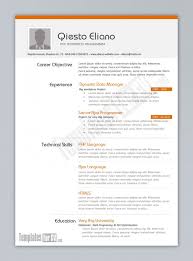 Cv Template Pages Resume Format