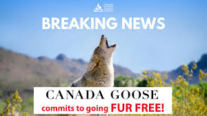 The port of naoussa on the greek island. Humane Canada On Twitter Canadagoose Just Announced That It S Ending The Use Of All Fur By The End Of 2022 This Is A Significant Step Forward Toward Building A More Humane And