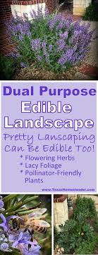Dual Purpose Edible Landscaping
