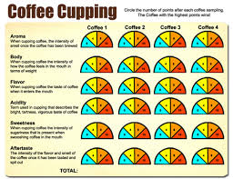 8 Step Coffee Cupping Guide