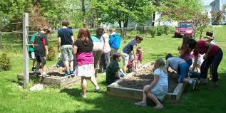 Growing Your School Or Community Garden