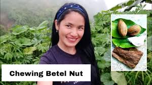 moma or nganga chewing betel nut