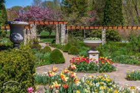 wegerzyn gardens arbor garden in spring