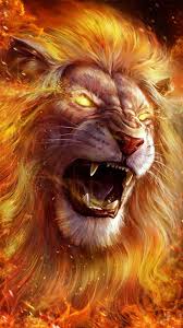 100 roaring lion wallpapers