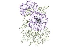 Check spelling or type a new query. Free Embroidery Designs Learn Create Bernina