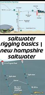 Go to the seashore with your rods and fishing line. Saltwater Rigging Basics New Hampshire Saltwater Fishing Digest Eregulations Com