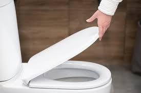 How To Install A New Toilet Seat 1