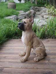 sitting boxer dog figurine