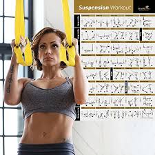 Laminated Suspension Exercise Poster Strength Training Chart Build Muscle Tone Tighten Home Gym Resistance Workout Routine Fitness Guide