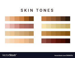 Skin Tone Color Scale Chart Brown