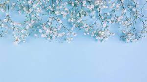 100 baby blue wallpapers wallpapers com