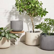 Make your patio or balcony even more inviting! Plant Pots Artificial Plants West Elm United Kingdom