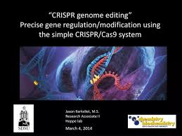 ppt crispr genome editing precise