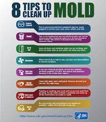 Tips On Cleaning Mold After A Flood