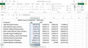 how to use autosum in excel 2016 dummies