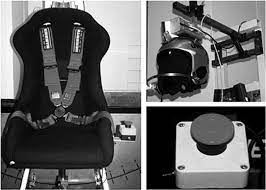 image of the 3d trunk excursion chair
