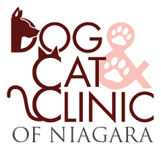Sharmas dog & cat clinic. Our Animal Hospital Dog And Cat Clinic Of Niagara