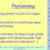 Phytomining Pros and Cons for Environment and Economy