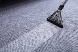 apartment carpet cleaning bonafide