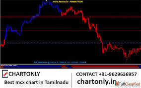Best Mcx Chart In Tamil Nadu Other Services In Chennai