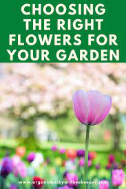 choosing the right flowers for your garden