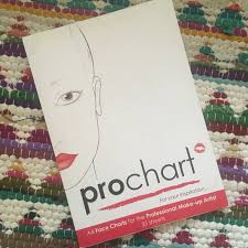 Prochart A4 Face Chart 30 Sheets Of Textured Paper Depop