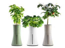 9 best home hydroponics kits The Independent The Independent