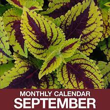 Gardening Calendar For September The