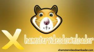 Developed by crackkers it has some bug fixes and corrections in its latest 2.021 version. Xhamstervideodownloader Apk For Chromebook 2021 Os Chrome Latest Version V1 6 0 Free Download Apklook Com