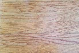 termite damage in hardwood floor