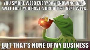 Easily add text to images or memes. Drug Test Next Week But That S None Of My Business Know Your Meme