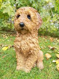 Labradoodle Dog Garden Ornament Uk