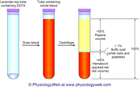 physiology ilration whole blood is