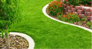 6 Best Lawn Edging Ideas Easy To