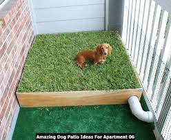 Apartment Dog Toilet Porch Potty