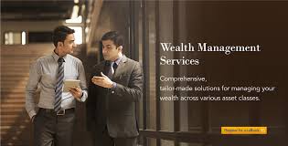 Wealth management advisor, wealth management business