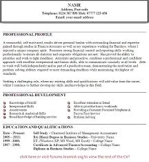 Financial CV template  Business administration  CV templates     CTgoodjobs accountant cv template