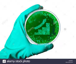 A Scientist Holding A Petri Dish With Germs In The Shape Of