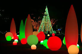 Holiday Lights And Tree Displays