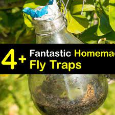 diy fly traps fly control the simple way