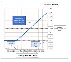 option profit loss graph