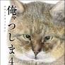 累計50万部突破のリアル猫漫画、『俺、つしま４』2024年4月24日発売決定！ 3年ぶり待望の最新刊！！