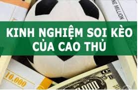 Lô Đề Tai Game Nuoi Rong Mien Phi