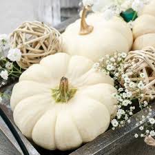 fall centerpiece ideas for your wedding