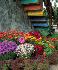 Colourful Garden Plant Containers