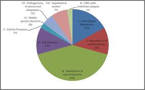Pie Charts Classifying The Identified Biofilm Proteins